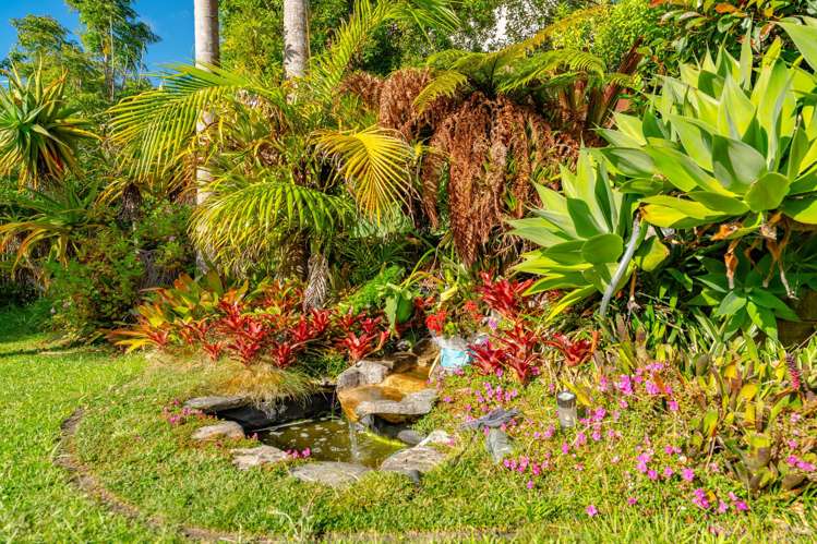 8 Landvale Court Browns Bay_22