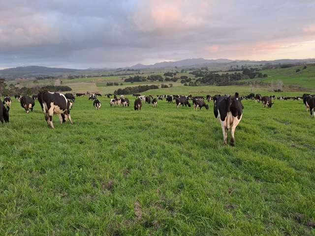 148 Malone Road Kokopu_3