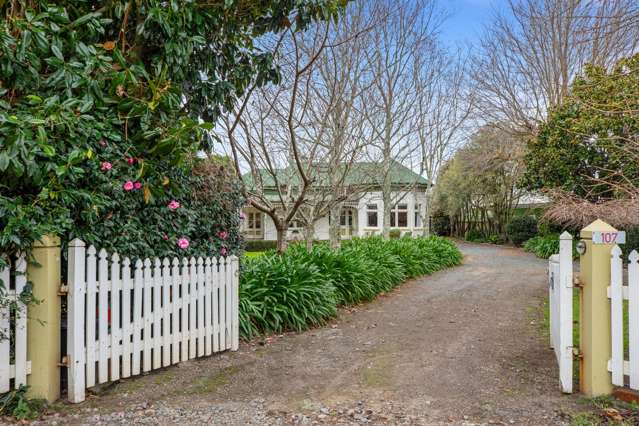 107 No 1 Road Te Puke_1