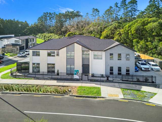 40 Rashni Road Flat Bush_2