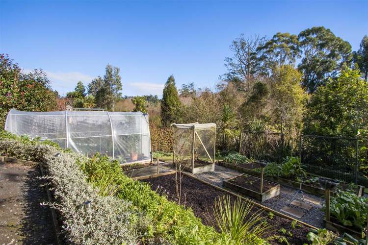 12 Lansdowne Road Katikati_17