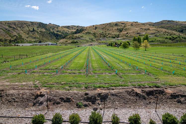 190 Ripponvale Road Cromwell_17