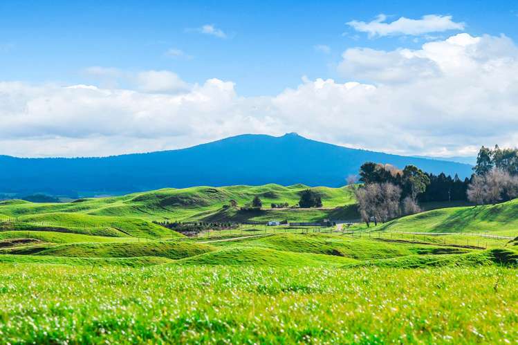 473 Otake Road Marotiri_11