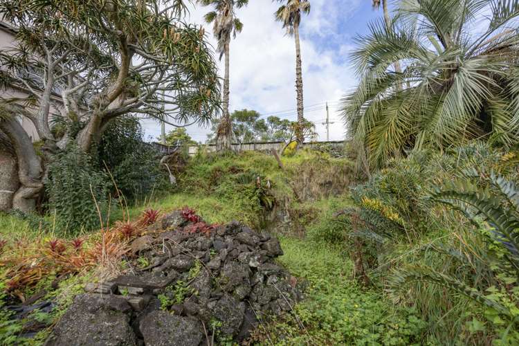 20 Edenvale Crescent Mount Eden_11