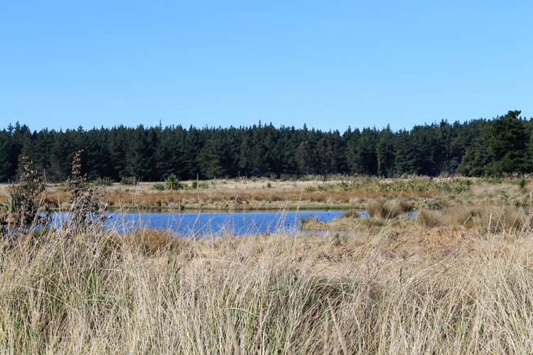 64 Te Kohanga Drive Pegasus_2