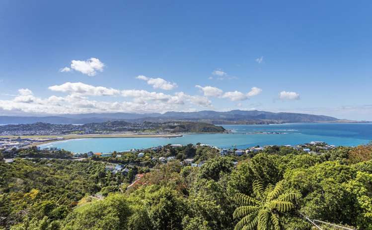 65 Buckley Road Southgate_16