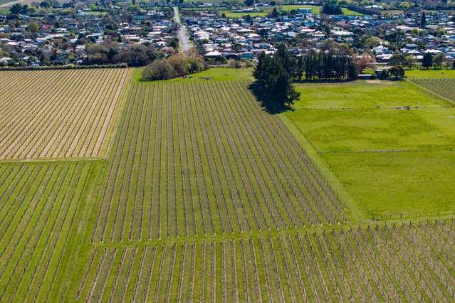 107 State Highway 63 Renwick_4