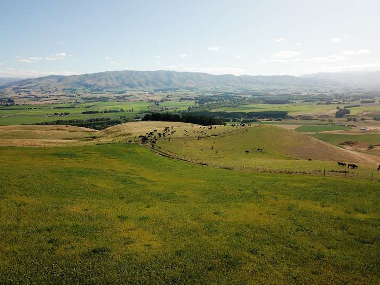 207 Tondros Road Fairlie_14