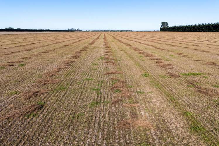 1234 Back Track Ashburton_4
