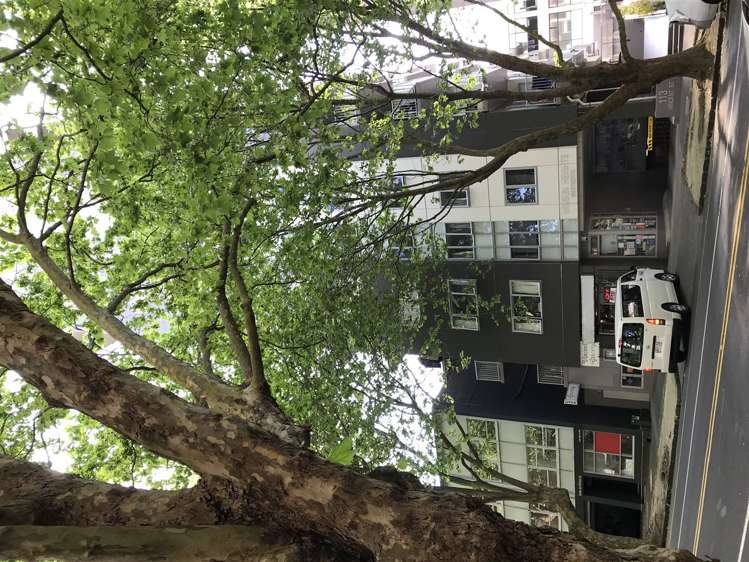 7d/113 Vincent Street Auckland Central_6