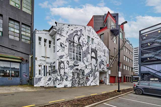 7 Marion Street Te Aro_1