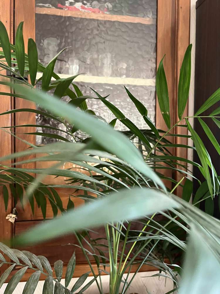 59 Avon Road Pokeno_36