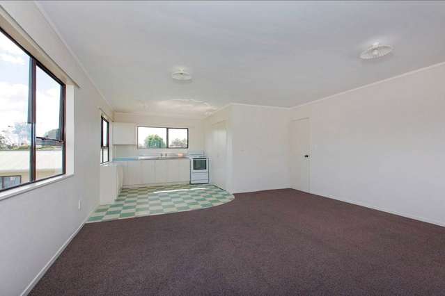 5a Princes Street Pukekohe_1