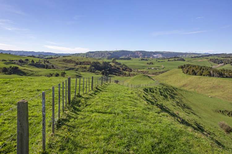 535 Maungatawhiri Road Raglan_11