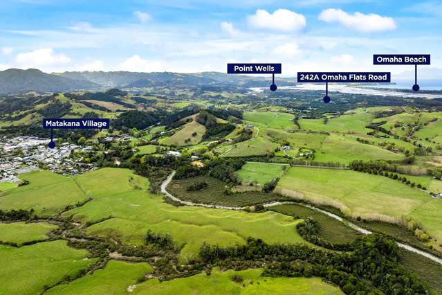 242A and 242B Omaha Flats Road Matakana_2