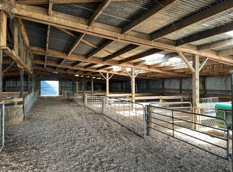 20 Longridge Village Road Winton Surrounds_14