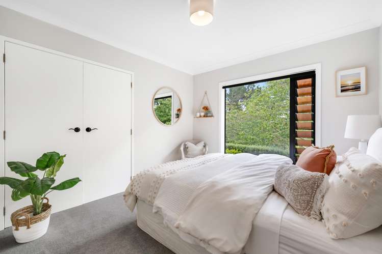 18 Ara-Kotinga Whitford_42