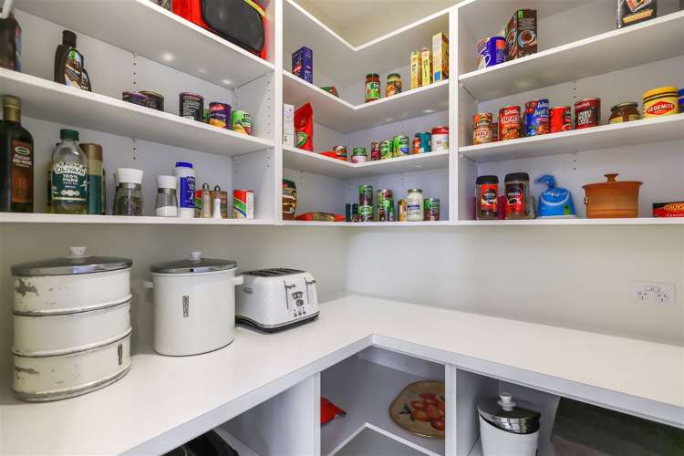 40 Charlesworth Drive Allenton_6