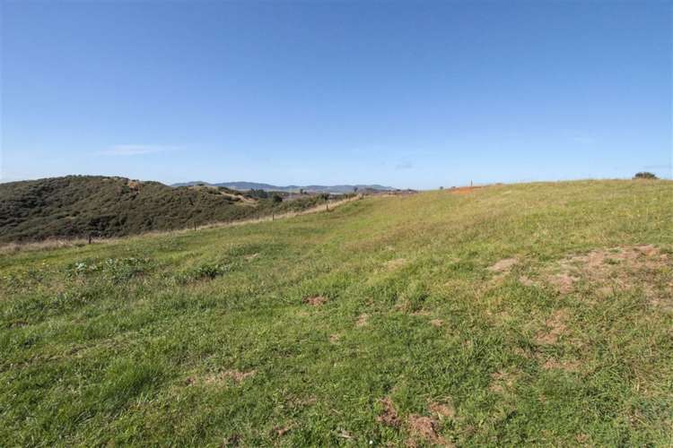 115 Mcdonald Mine Road Huntly_33