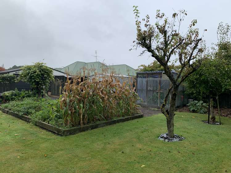 7 Cherry Lane Tinwald_13