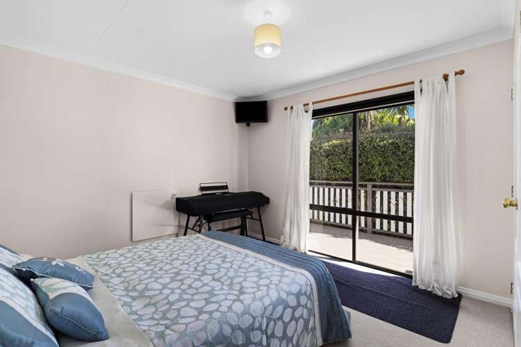 274 Hot Springs Road Tahawai_13