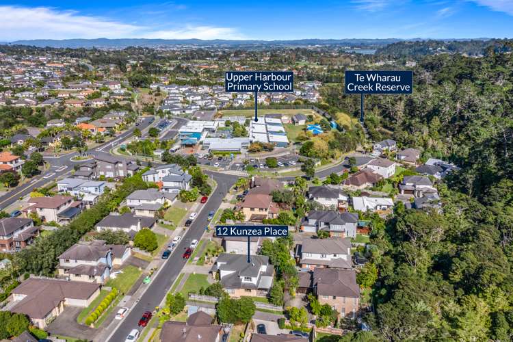 12 Kunzea Place Greenhithe_20