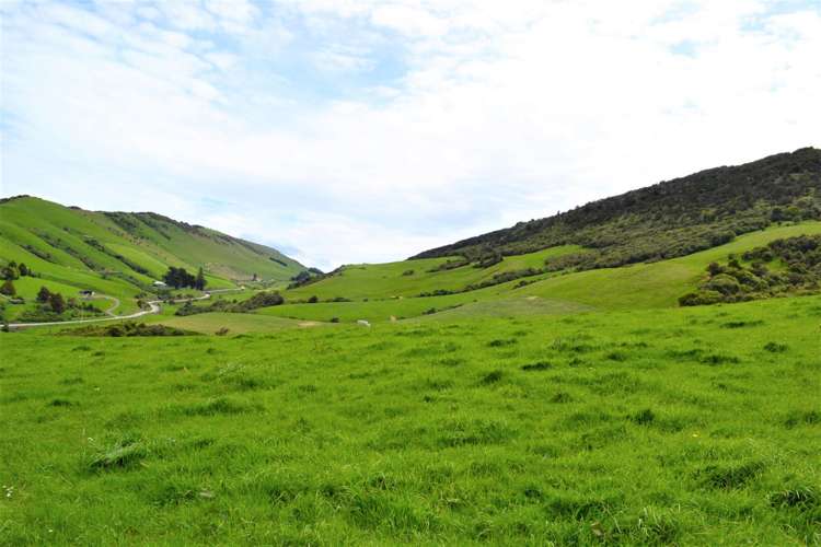 771 Hunt Road Catlins Surrounds_9