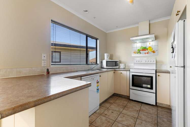 31A Argyll Road Greerton_1