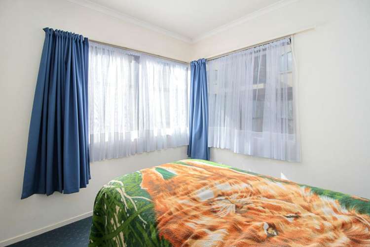 444b Tristram Street Whitiora_8