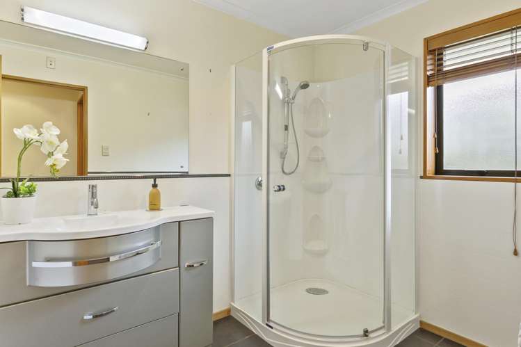 227 Forbury Road Saint Clair_12