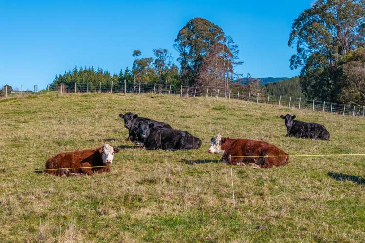 604 Waiwhero Road Ngatimoti_3