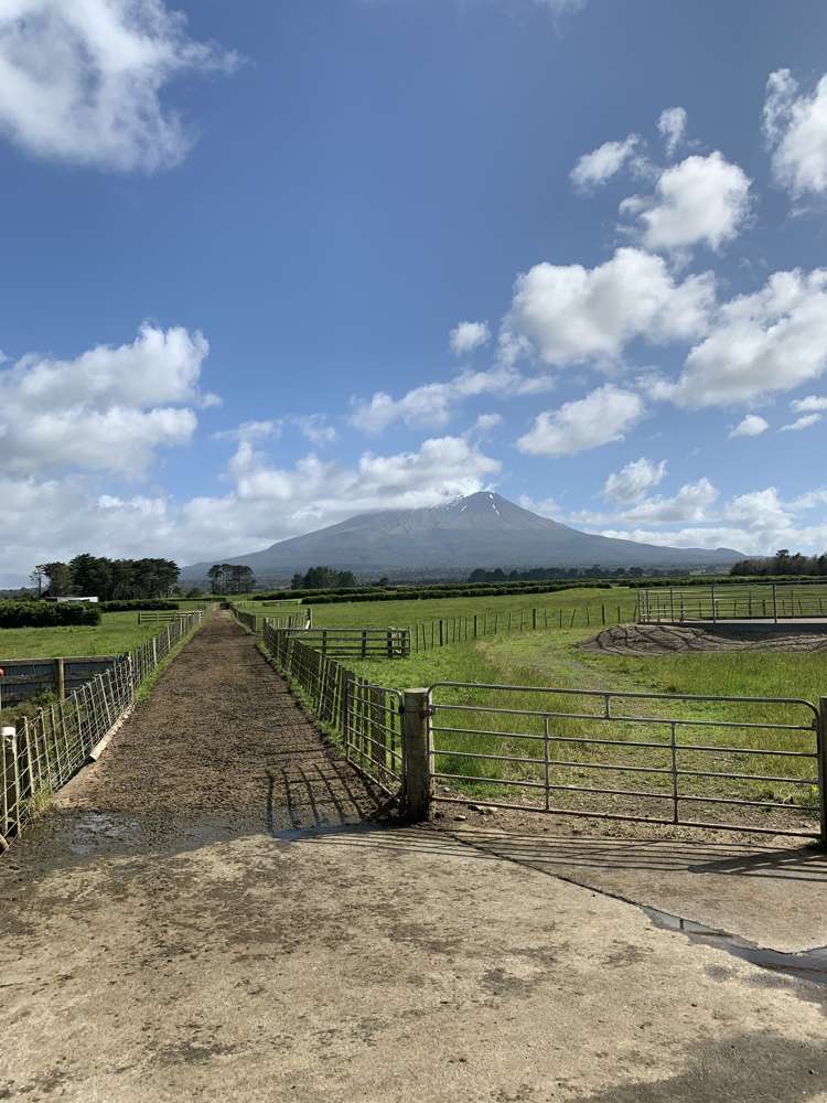 2372 Opunake Road Awatuna_8