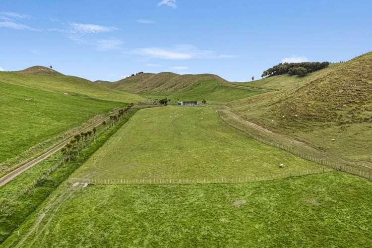 246 Hopelands Road Woodville_6