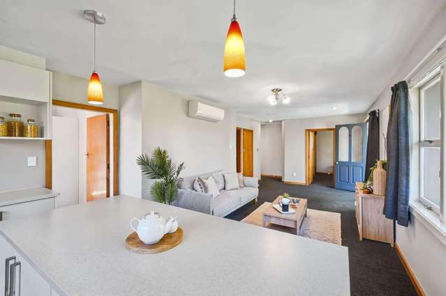 47 Middlepark Road Upper Riccarton_4