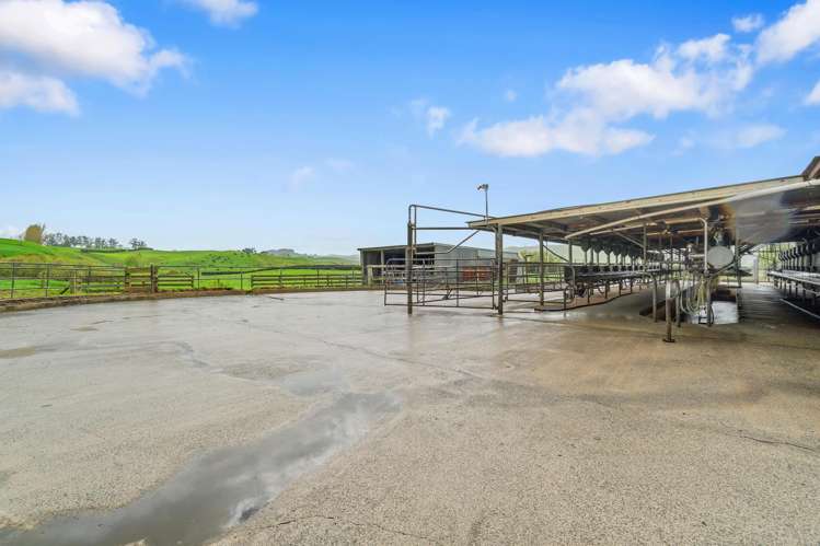 60/63 Harbottle Road Morrinsville_13