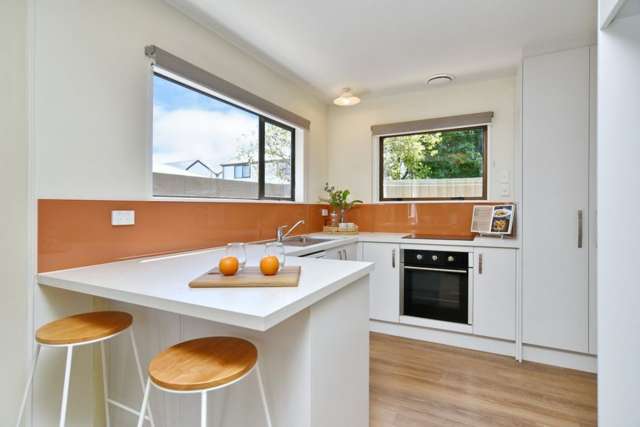 33A Redruth Avenue Spreydon_1