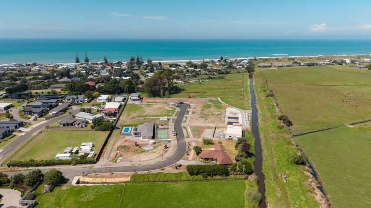 Citrus Avenue Waihi Beach_10