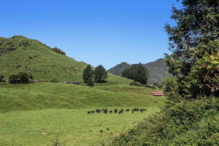 2060 Motu Road Opotiki_34