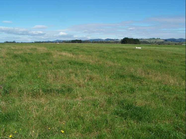 126 Happy Valley Road Maheno_7