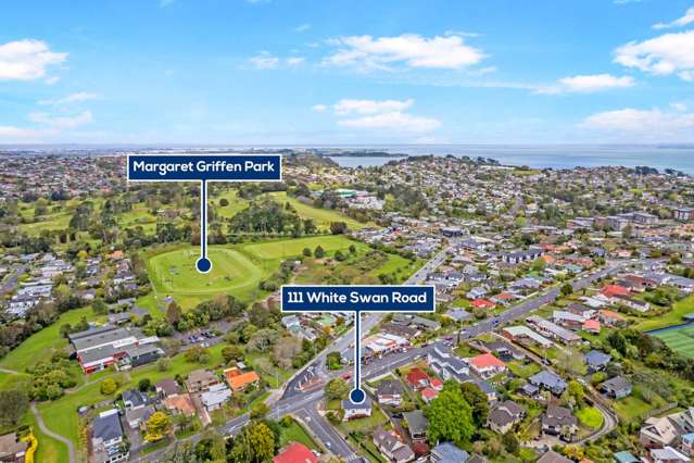 111 White Swan Road Mount Roskill_2