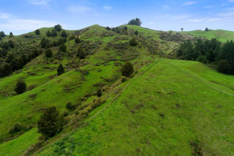 205 Tunanui Road Owhango_7