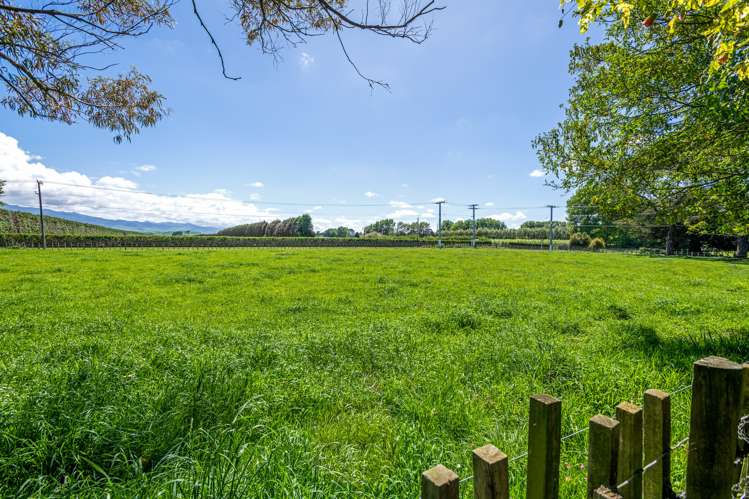 45 Gladstone Street Woodville_17