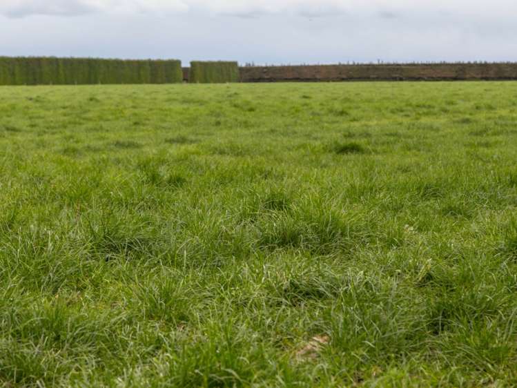 46 Mitchells Road Bankside_11