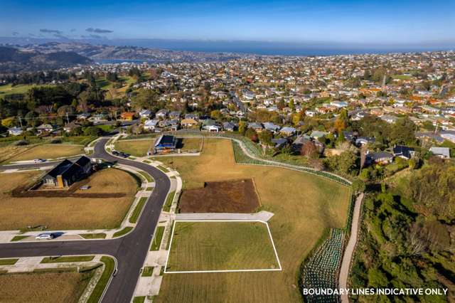 Duplex Potential