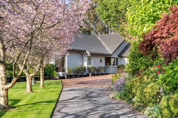 37a William Potter Lane Karaka_4