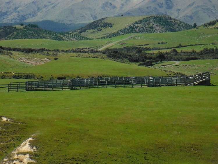 1685 Okuku Pass Road Okuku Range_17