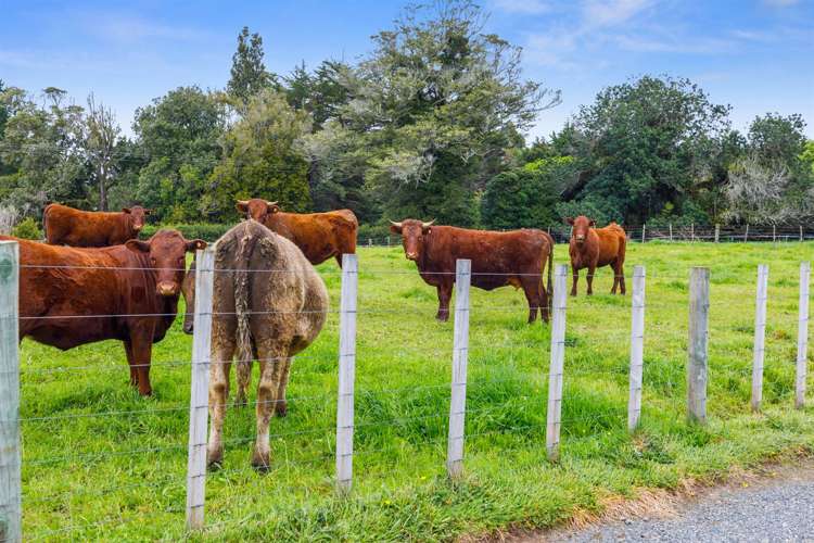 962 No 2 Road Te Ranga_18