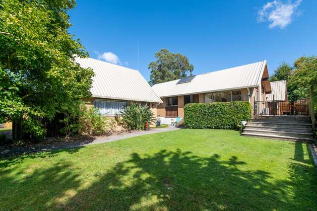 77 Tihi Road Springfield_1