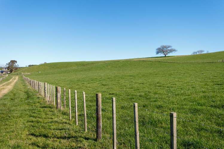 Morrinsville-Tahuna Road Morrinsville_17