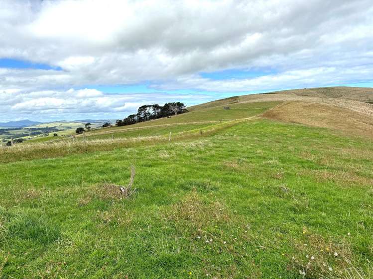 Cnr Hood Rd and SH12 Dargaville Surrounds_12